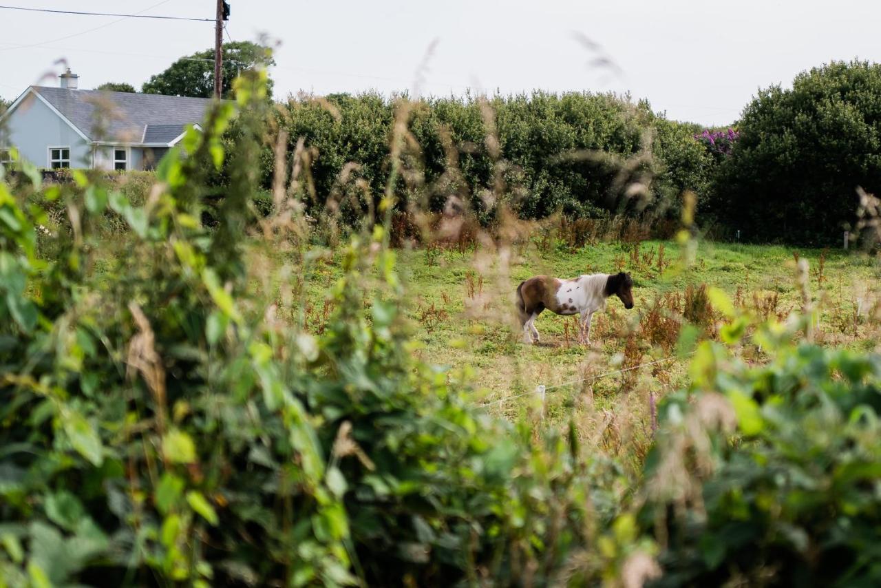 Modern Self Catering Apartment, Miltown Malbay Milltown Malbay Bagian luar foto